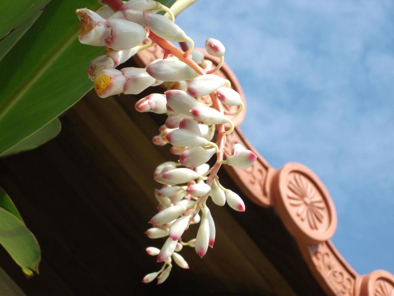Akachichi Guesthouse Onna Exterior foto